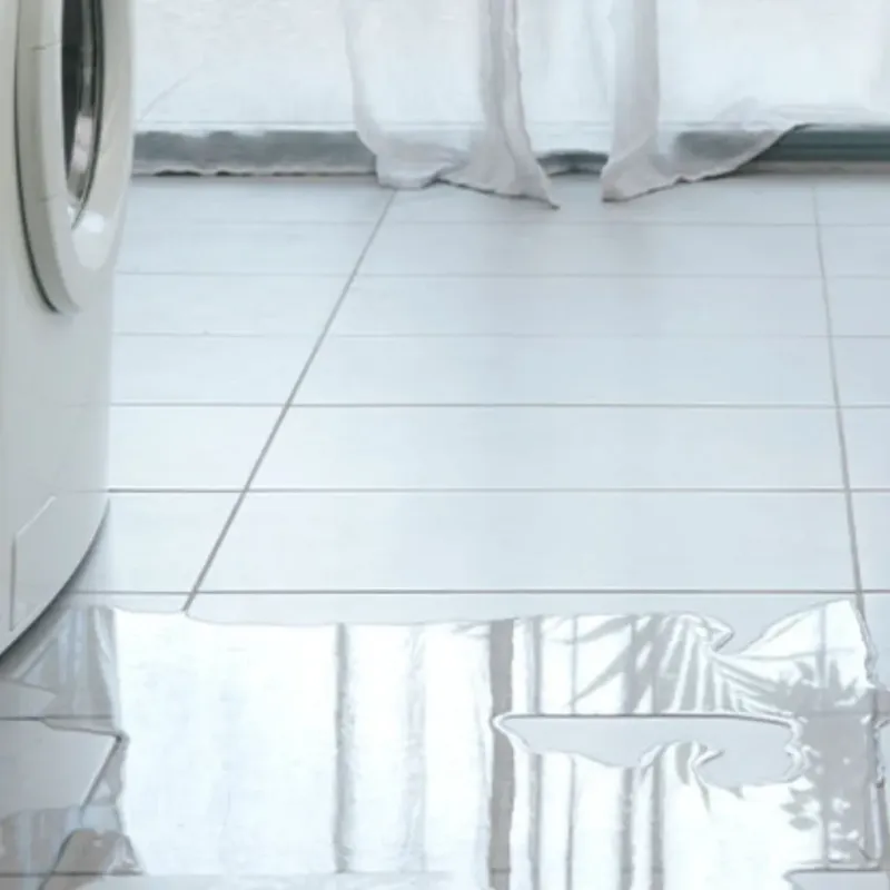 Appliance Leak Cleanup in Spring Hill, TN