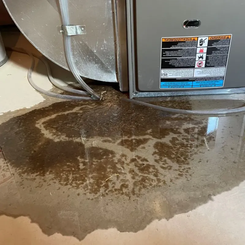 Pipe Burst and Leak Restoration in Spring Hill, TN
