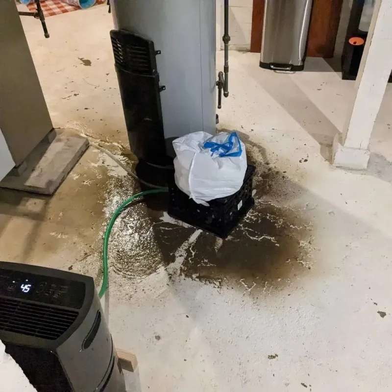Sewage Backup Cleanup Service in Spring Hill, TN